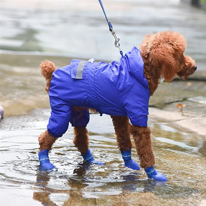A dog wearing waterproof dog boots (Anti-Slip Rain Shoes) splashes in puddles while on a walk.