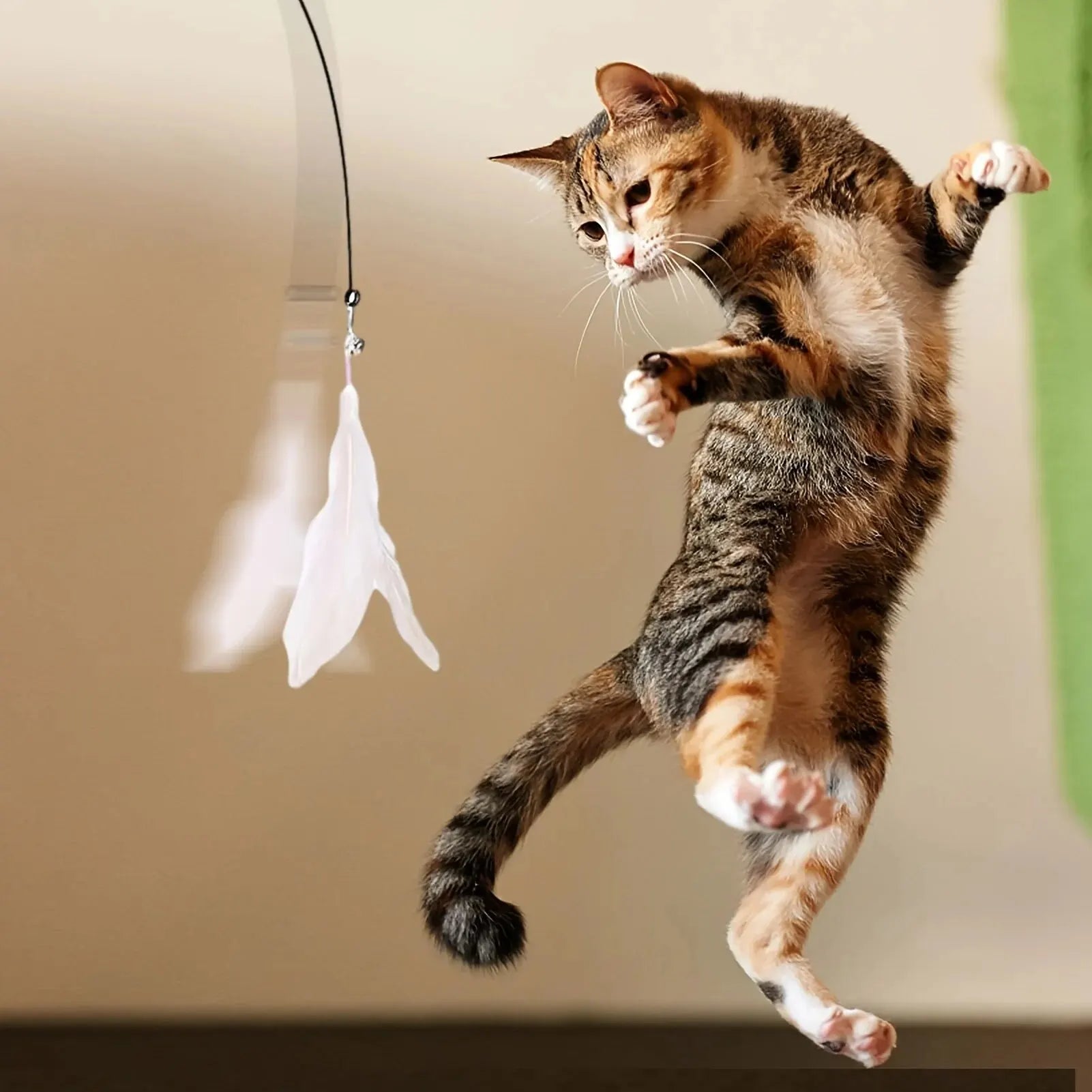 Cat playing with a Cat Teaser Toy, jumping excitedly at a feather attraction.