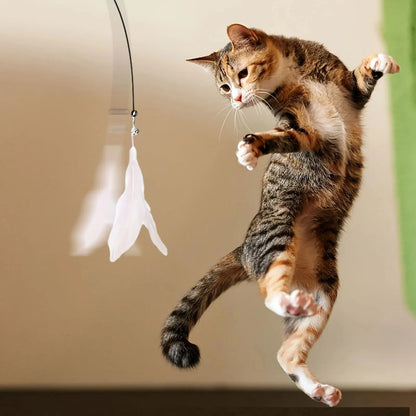 Cat playing with a Cat Teaser Toy, jumping excitedly at a feather attraction.