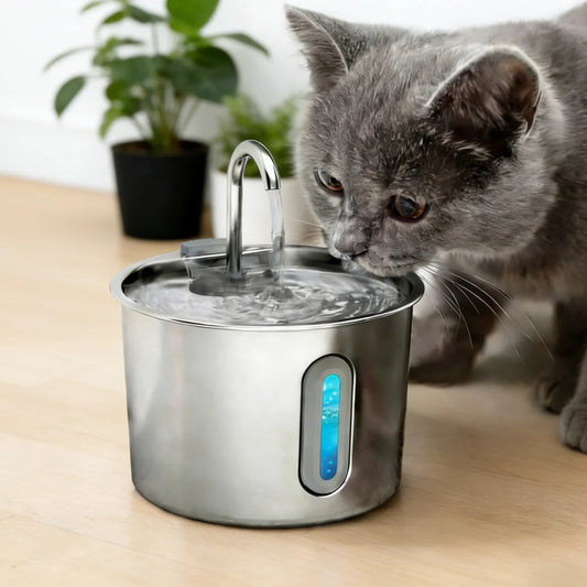Automatic 2.2L Cat Water Fountain